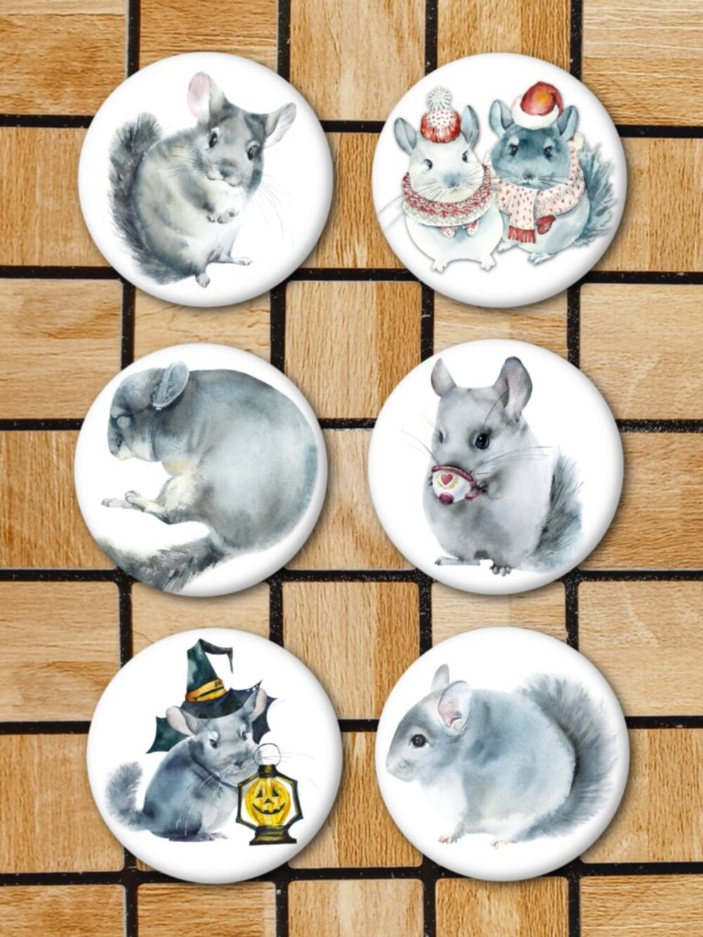 Chinchilla Fridge Magnets Set Of 6 Metal Magnets Home Office Kitchen School